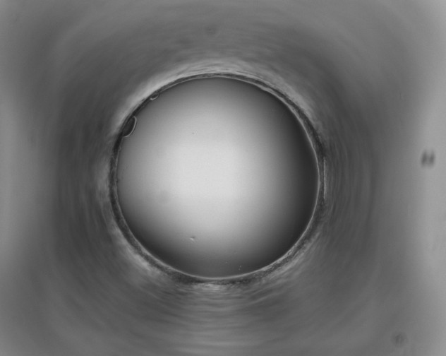 X0000096961500200802081219