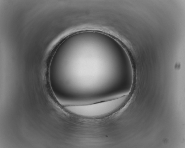 X0000096961502200802081219