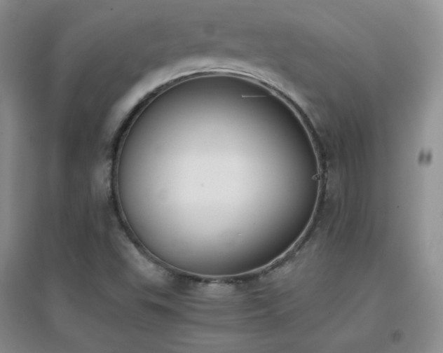 X0000096961503200802081219