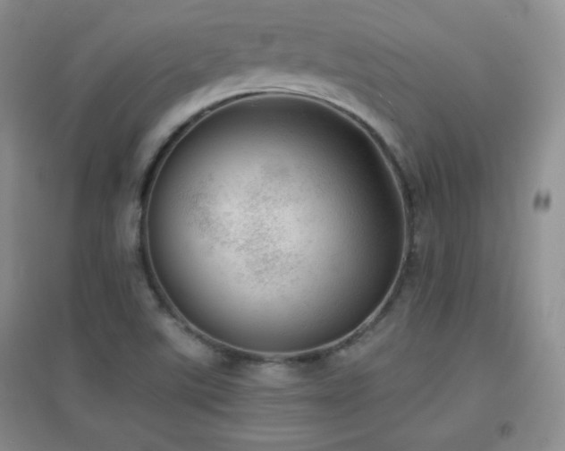 X0000096961507200802081219