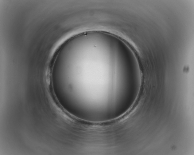 X0000096961510200802081219