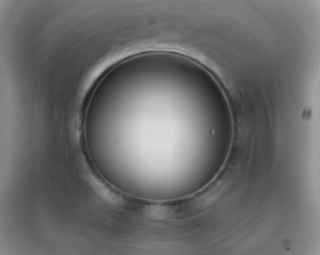 X0000096961511200802081219