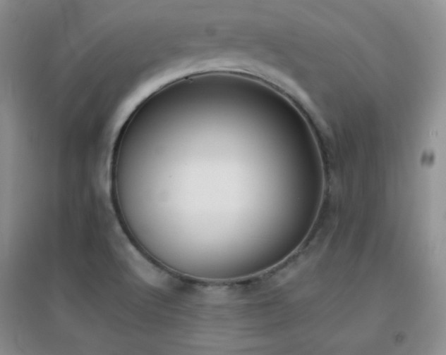 X0000096961512200802081219