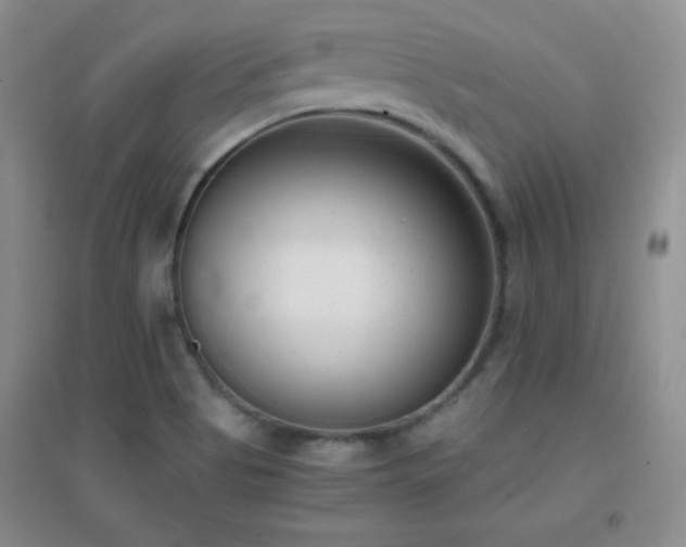 X0000096961513200802081219