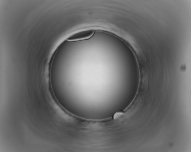 X0000096961516200802081219