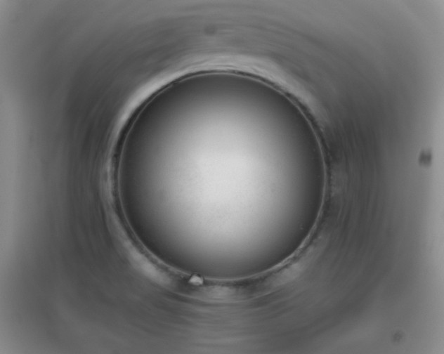 X0000096961517200802081219