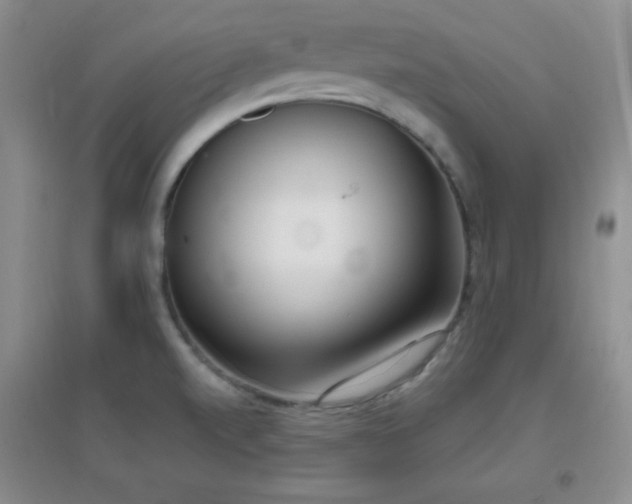 X0000096961520200802081219