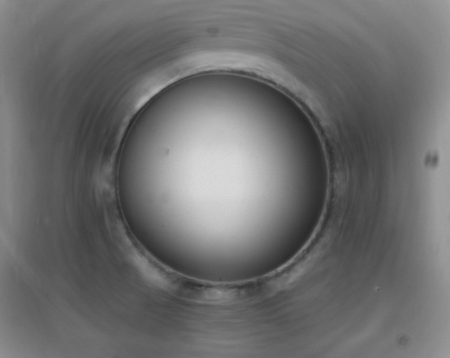 X0000096961521200802081219