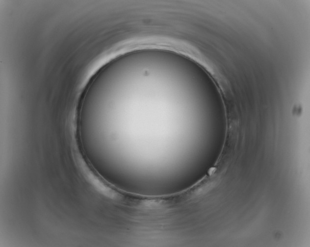 X0000096961523200802081219