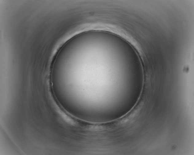 X0000096961525200802081219