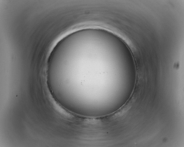 X0000096961526200802081219