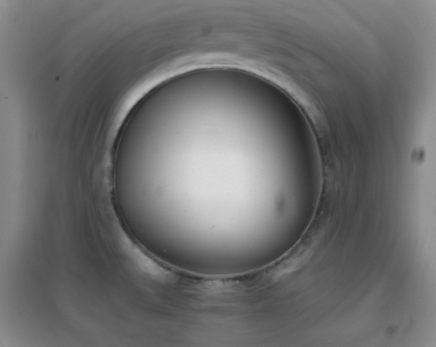 X0000096961527200802081219