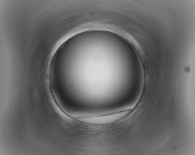 X0000096961528200802081219