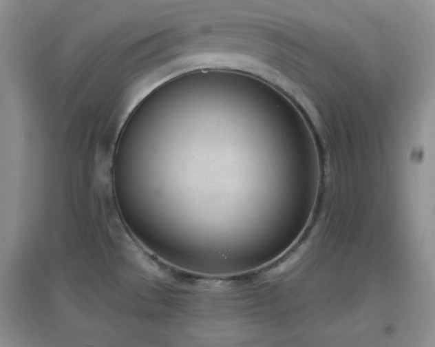 X0000096961529200802081219