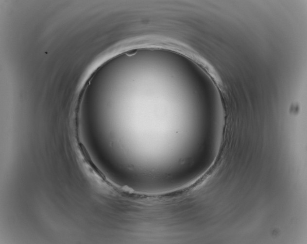 X0000096961530200802081219
