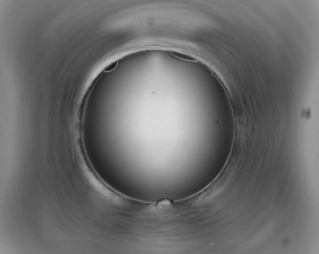 X0000096961531200802081219
