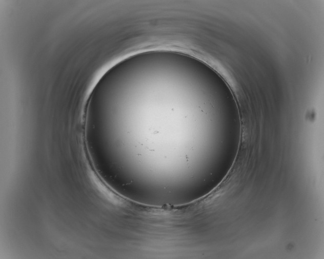 X0000096961532200802081219