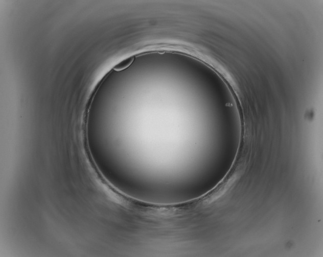 X0000096961533200802081219
