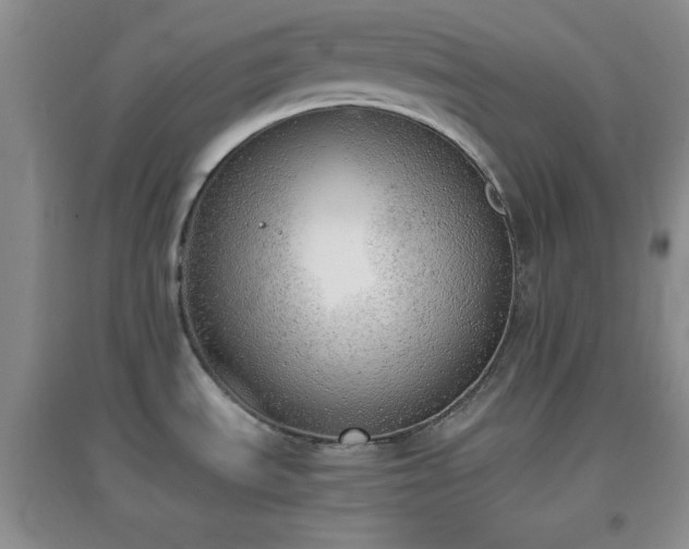 X0000096961535200802081219