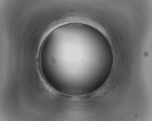 X0000096961536200802081219