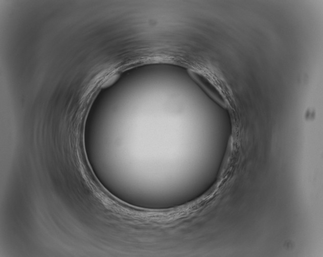 X0000096960001200802151246