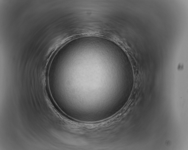 X0000096960002200802151246