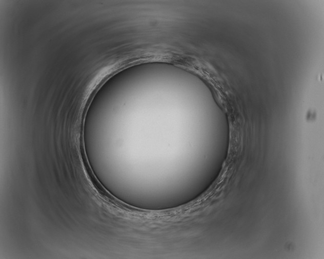 X0000096960003200802151246