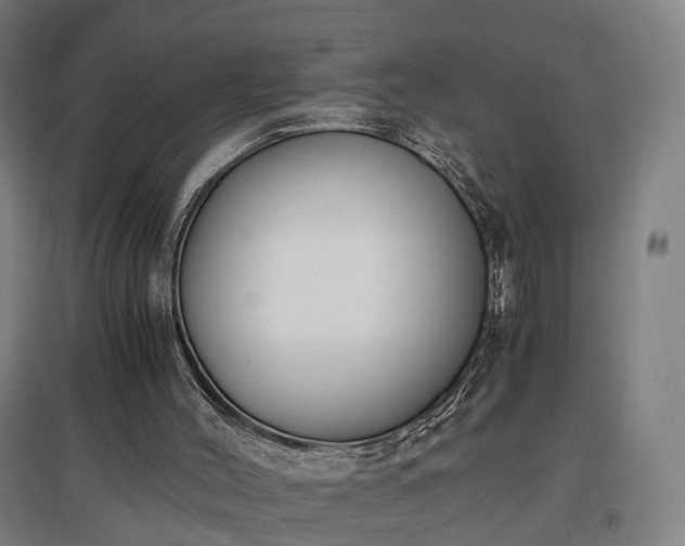 X0000096960004200802151246