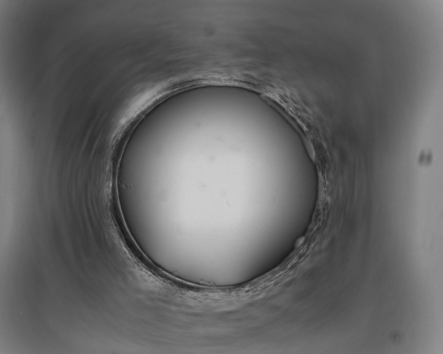 X0000096960005200802151246