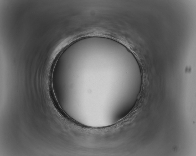 X0000096960007200802151246