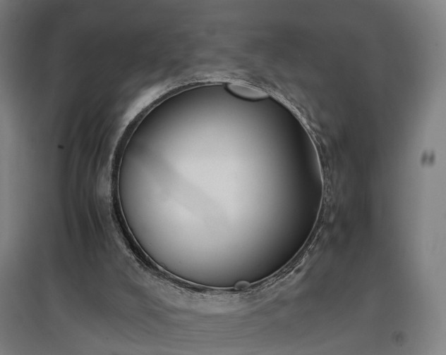 X0000096960008200802151246