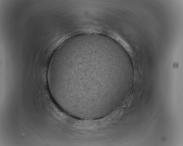 X0000096960009200802151246