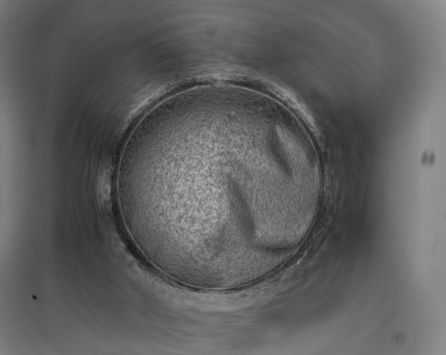 X0000096960010200802151246