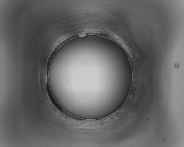 X0000096960011200802151246