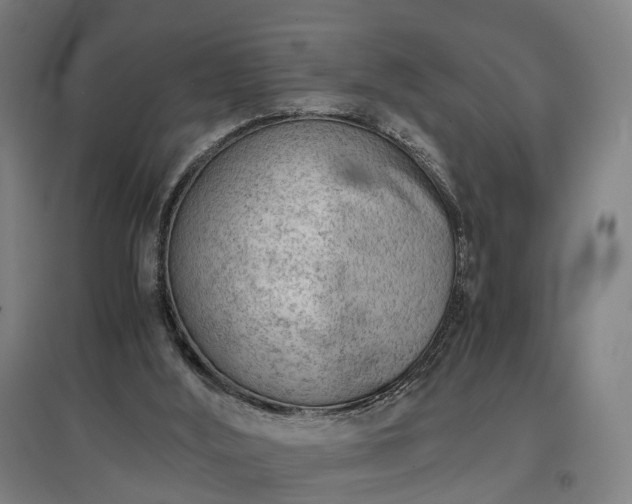 X0000096960012200802151246