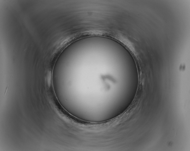 X0000096960013200802151246