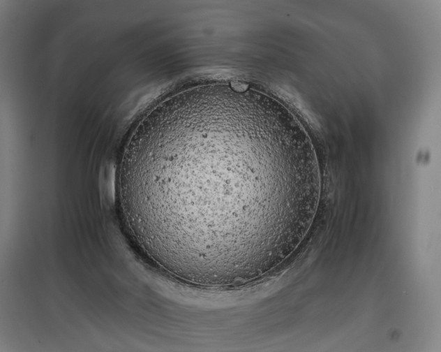 X0000096960014200802151246