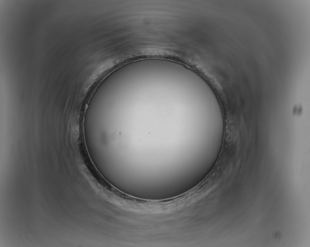 X0000096960015200802151246