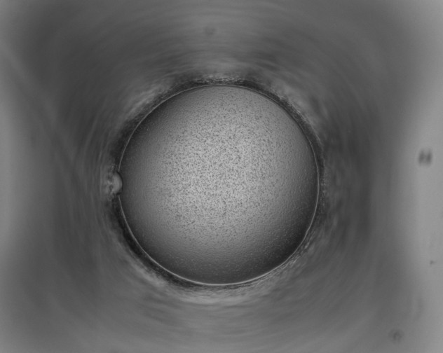 X0000096960017200802151246