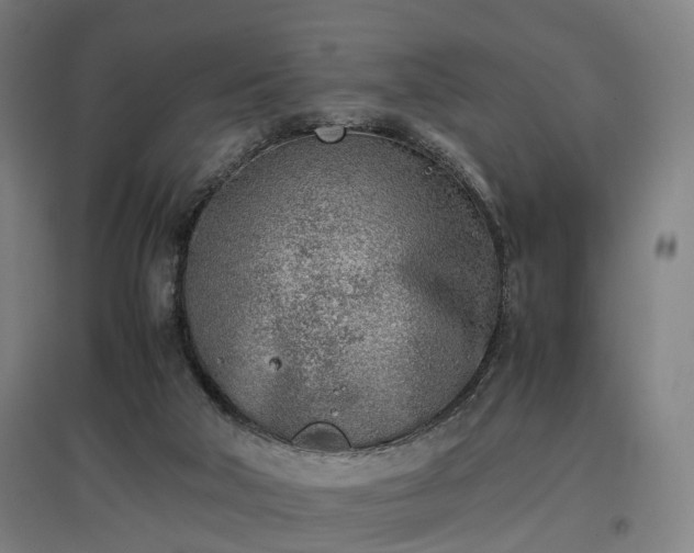 X0000096960018200802151246