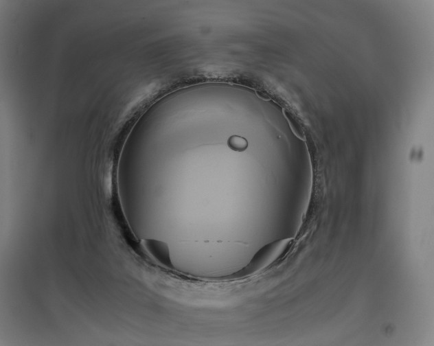 X0000096960019200802151246