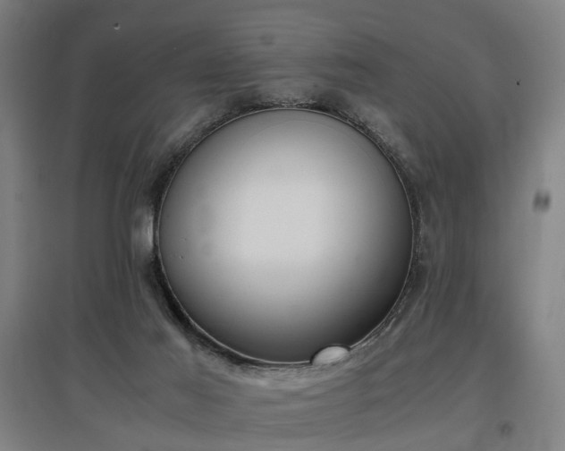 X0000096960021200802151246