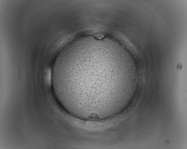 X0000096960022200802151246