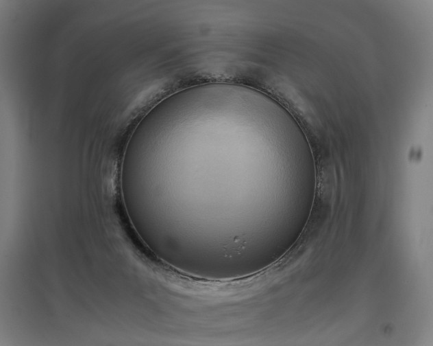 X0000096960023200802151246