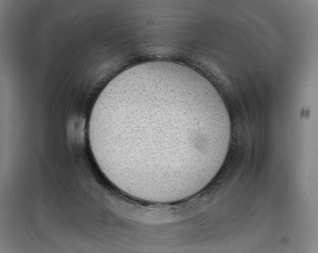 X0000096960024200802151246