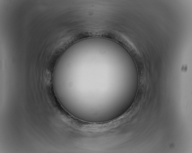 X0000096960025200802151246