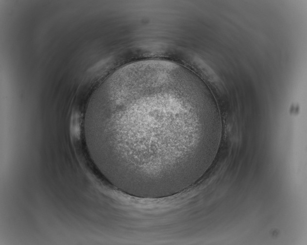 X0000096960026200802151246