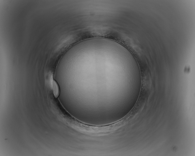 X0000096960027200802151246