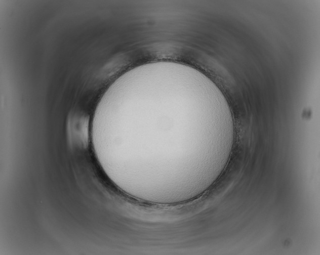 X0000096960028200802151246