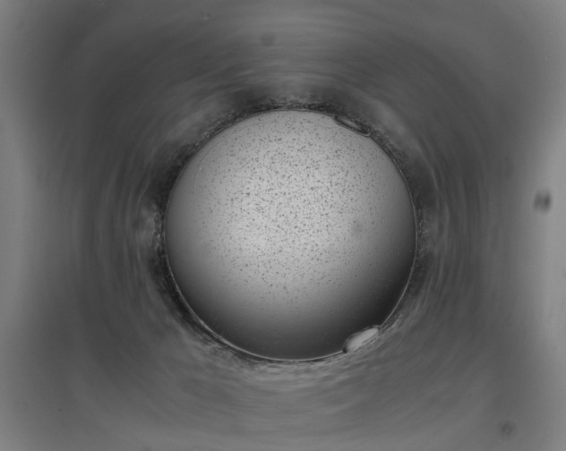 X0000096960029200802151246